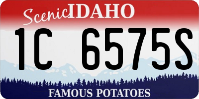 ID license plate 1C6575S