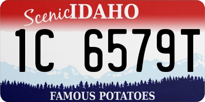 ID license plate 1C6579T