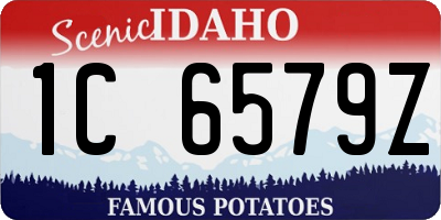 ID license plate 1C6579Z