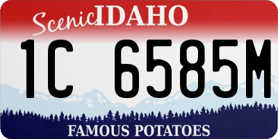 ID license plate 1C6585M