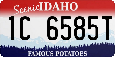 ID license plate 1C6585T