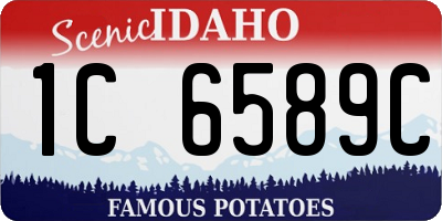 ID license plate 1C6589C