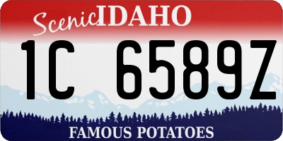 ID license plate 1C6589Z