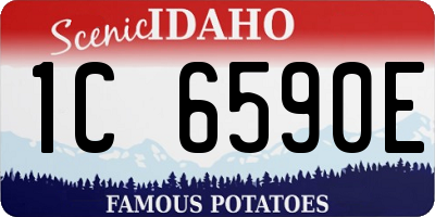 ID license plate 1C6590E