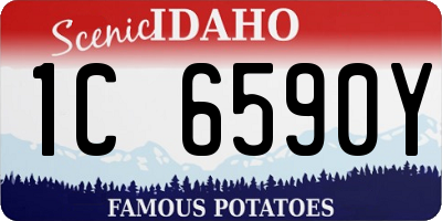 ID license plate 1C6590Y