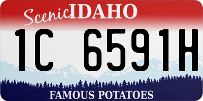 ID license plate 1C6591H