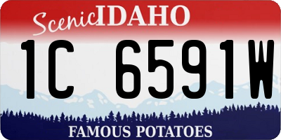 ID license plate 1C6591W