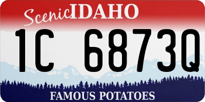ID license plate 1C6873Q