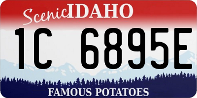 ID license plate 1C6895E