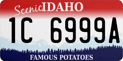 ID license plate 1C6999A