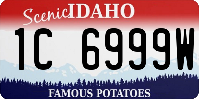 ID license plate 1C6999W