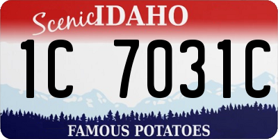 ID license plate 1C7031C