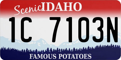 ID license plate 1C7103N