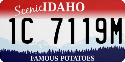 ID license plate 1C7119M