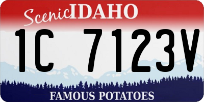 ID license plate 1C7123V