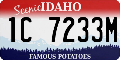 ID license plate 1C7233M