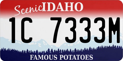 ID license plate 1C7333M