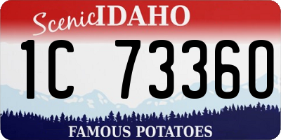 ID license plate 1C7336O