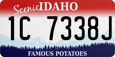 ID license plate 1C7338J