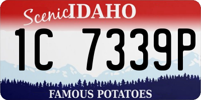 ID license plate 1C7339P