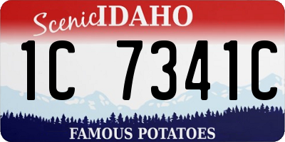 ID license plate 1C7341C