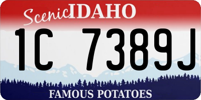 ID license plate 1C7389J