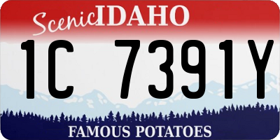 ID license plate 1C7391Y