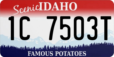 ID license plate 1C7503T