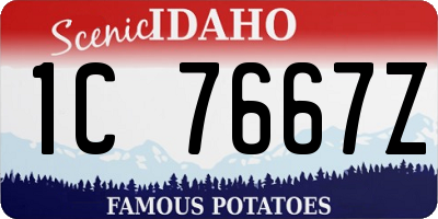 ID license plate 1C7667Z