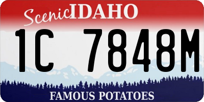 ID license plate 1C7848M