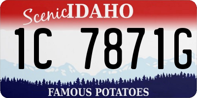 ID license plate 1C7871G