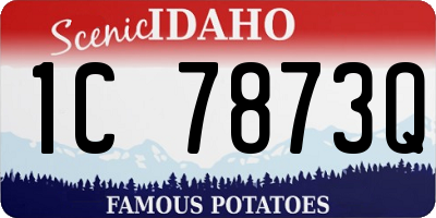ID license plate 1C7873Q
