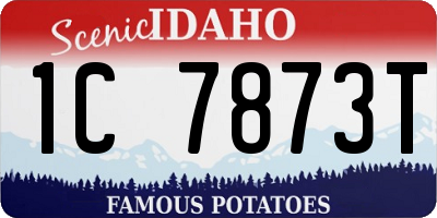 ID license plate 1C7873T