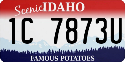 ID license plate 1C7873U
