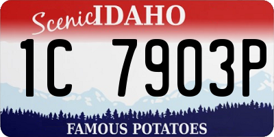 ID license plate 1C7903P