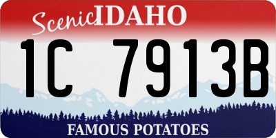 ID license plate 1C7913B