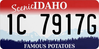 ID license plate 1C7917G