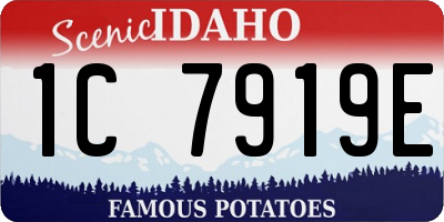 ID license plate 1C7919E