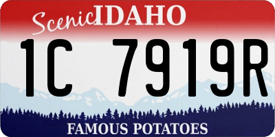 ID license plate 1C7919R