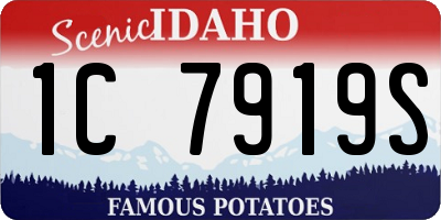 ID license plate 1C7919S