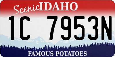 ID license plate 1C7953N
