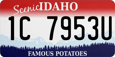 ID license plate 1C7953U