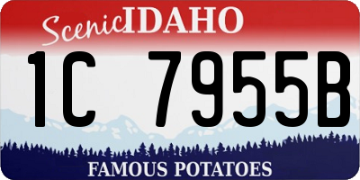 ID license plate 1C7955B