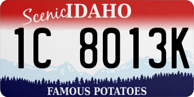 ID license plate 1C8013K
