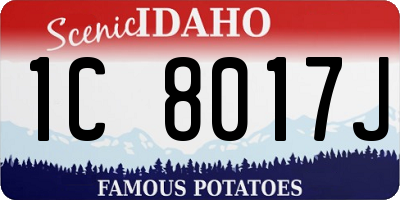 ID license plate 1C8017J