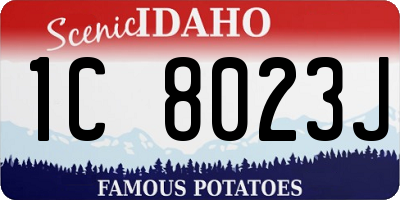 ID license plate 1C8023J