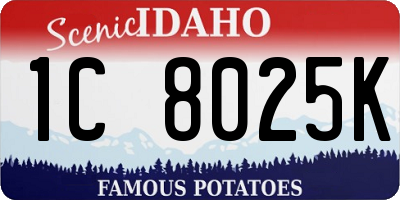 ID license plate 1C8025K
