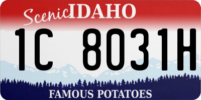 ID license plate 1C8031H