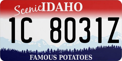 ID license plate 1C8031Z
