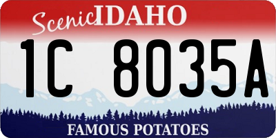 ID license plate 1C8035A